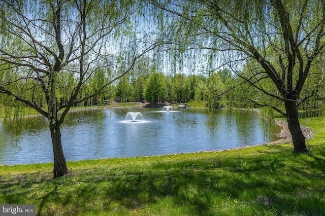 view of water feature featuring a view of trees