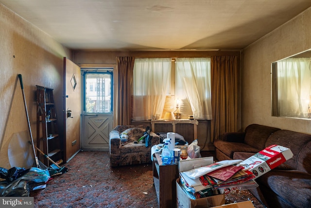 carpeted living area with a healthy amount of sunlight