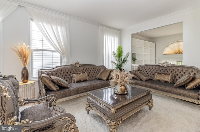 9116 Mineola Ct, Manassas, VA 20111 - living room with carpet flooring and ornamental molding