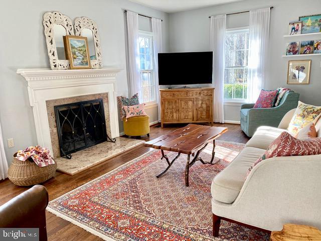 living area featuring plenty of natural light, wood finished floors, and a fireplace