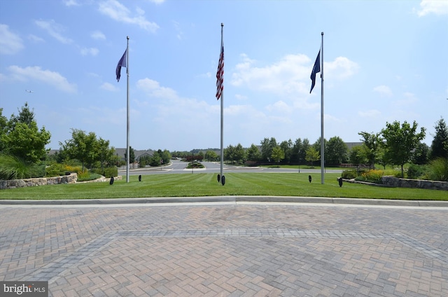 44451 Cruden Bay Dr, Ashburn, VA 20147 - view of road with curbs
