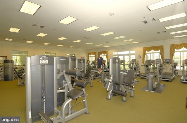 44451 Cruden Bay Dr, Ashburn, VA 20147 - exercise room featuring visible vents and ornamental molding