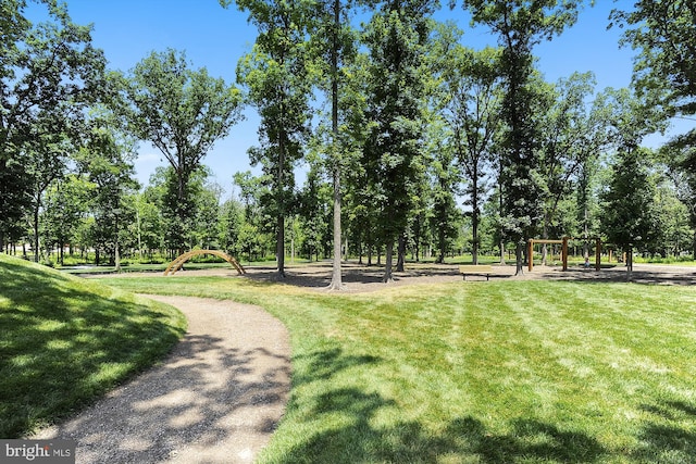 44451 Cruden Bay Dr, Ashburn, VA 20147 - view of community featuring a yard
