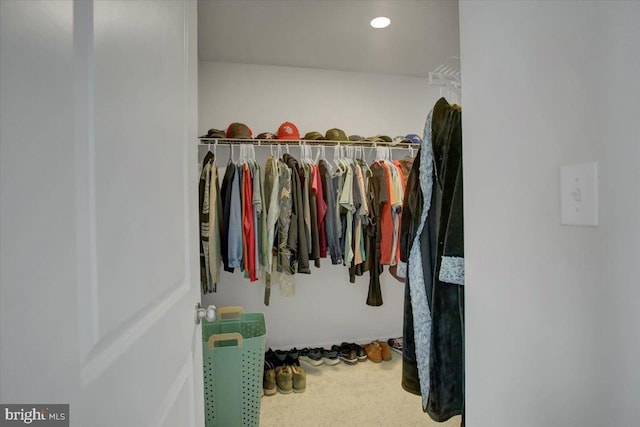 11174 Cross Fields Dr, Waynesboro, PA 17268 - walk in closet with carpet flooring