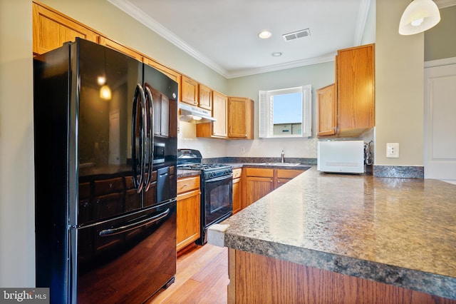 22788 Sagamore Sq, Brambleton, VA 20148 - kitchen featuring under cabinet range hood, ornamental molding, visible vents, a sink, and black appliances