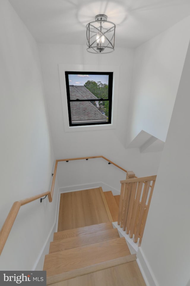 1904 Jackson St NE, Washington, DC 20018 - stairs with baseboards and wood finished floors