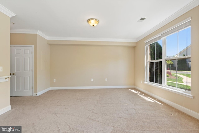 8600 Liberty Trl Unit 102, Manassas, VA 20110 - spare room with ornamental molding, carpet flooring, and baseboards