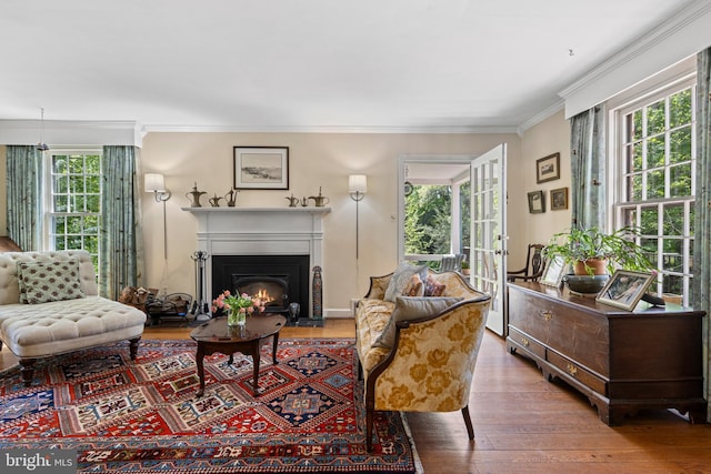 living room featuring wood-type flooring, healthy amount of natural light, ornamental molding, and a lit fireplace