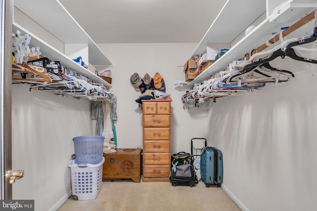 view of spacious closet