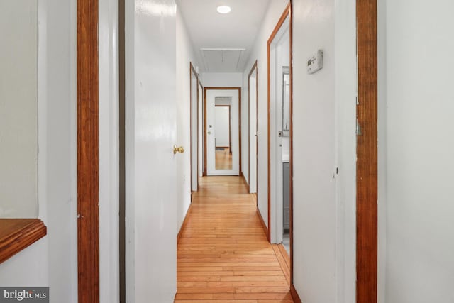hall featuring light wood-type flooring and attic access