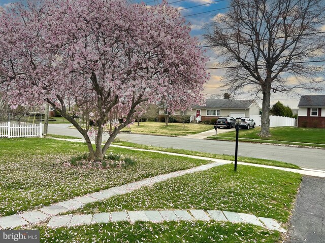 view of road with sidewalks