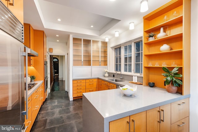 kitchen featuring appliances with stainless steel finishes, open shelves, a sink, a raised ceiling, and a peninsula