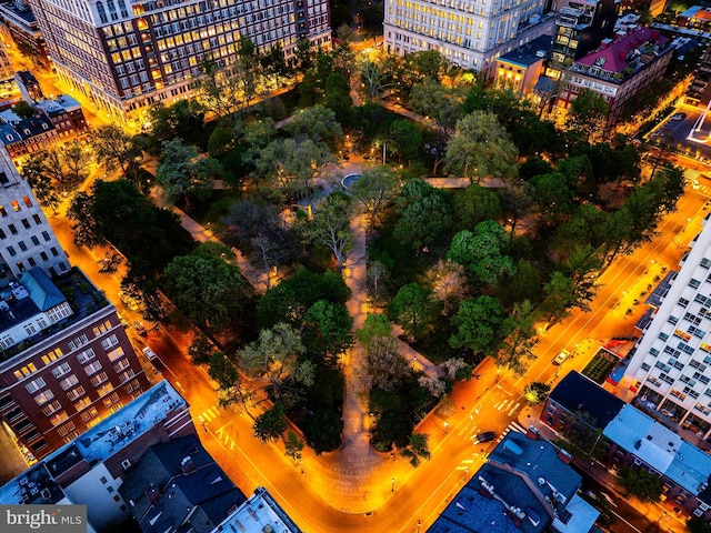 bird's eye view with a city view