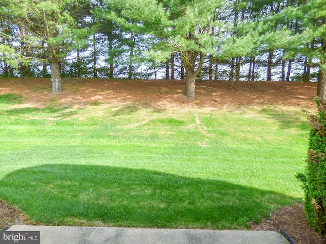 view of yard