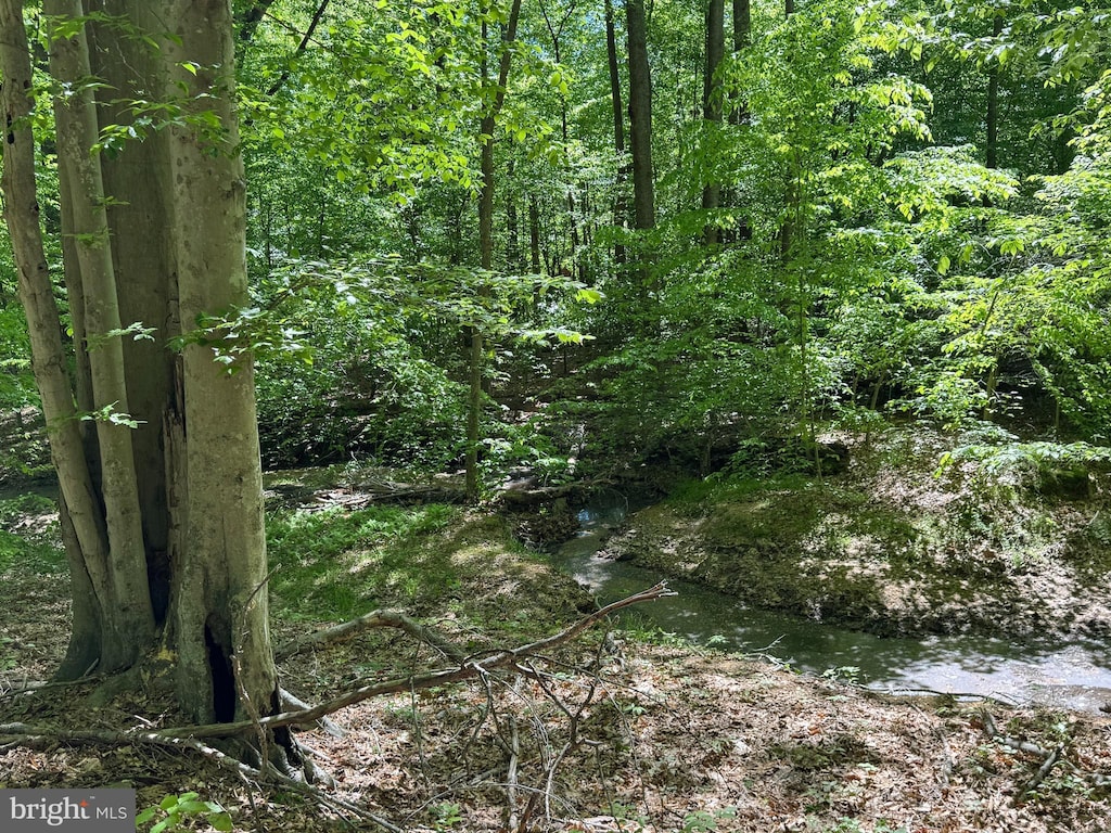 view of landscape featuring a forest view