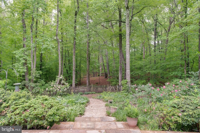 12868 Paddle Wheel Ct, Manassas, VA 20112 - view of yard with fence and a wooded view