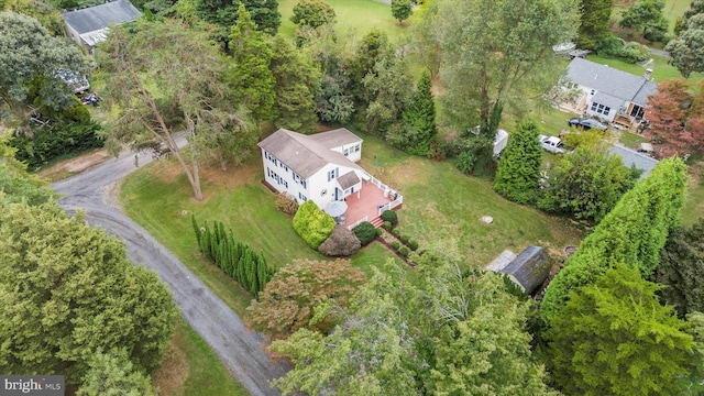 bird's eye view