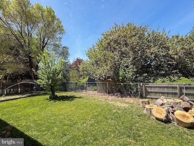view of yard featuring a fenced backyard