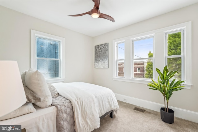 519 Somerset Pl NW, Washington, DC 20011 - bedroom featuring multiple windows, carpet flooring, ceiling fan, and baseboards