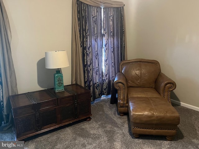 living area featuring baseboards and carpet flooring