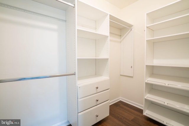 8607 Beekman Pl Unit 7B, Alexandria, VA 22309 - walk in closet featuring dark wood-style flooring