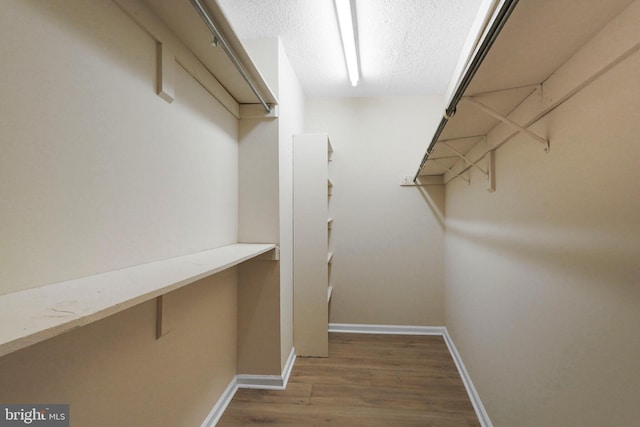 spacious closet featuring wood finished floors