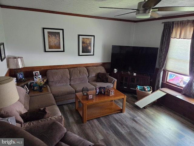 living area featuring crown molding, a textured ceiling, ceiling fan, and wood finished floors