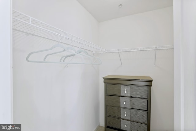 view of walk in closet