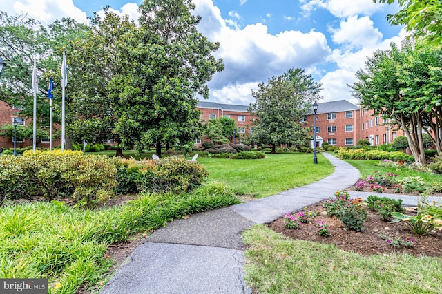 view of community featuring a yard