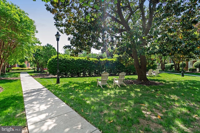view of home's community with a lawn