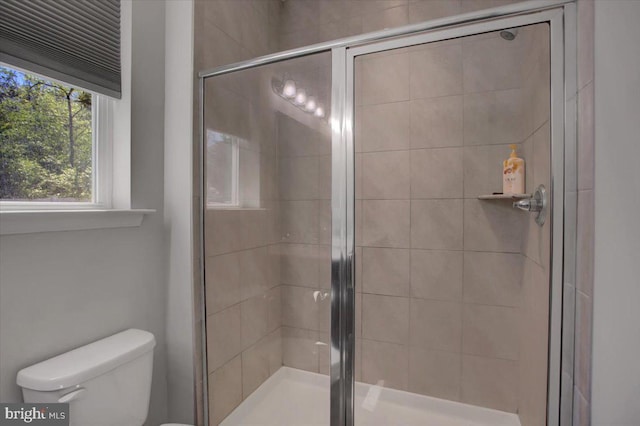 full bathroom featuring a shower stall and toilet