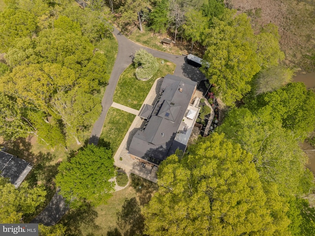 bird's eye view