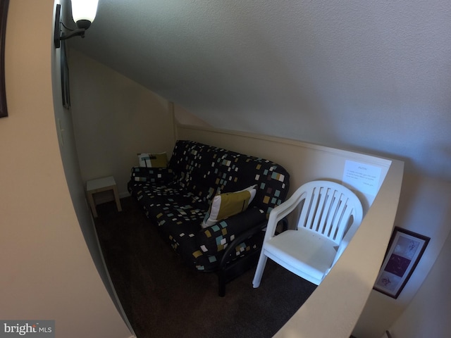607 Osprey Rd Unit 4, Ocean City, MD 21842 - living area with carpet floors and vaulted ceiling