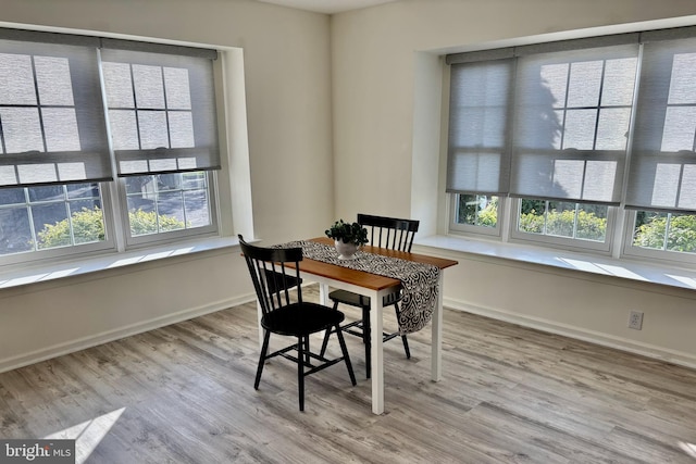dining room with baseboards and wood finished floors