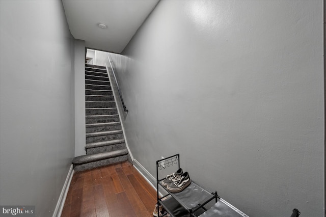 staircase with wood-type flooring and baseboards