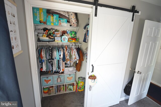 221 Arundel Rd, Pasadena, MD 21122 - view of closet