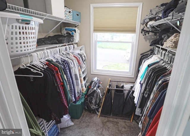 221 Arundel Rd, Pasadena, MD 21122 - spacious closet with carpet