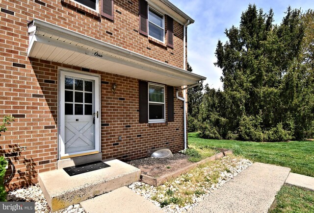 view of exterior entry with a yard and brick siding