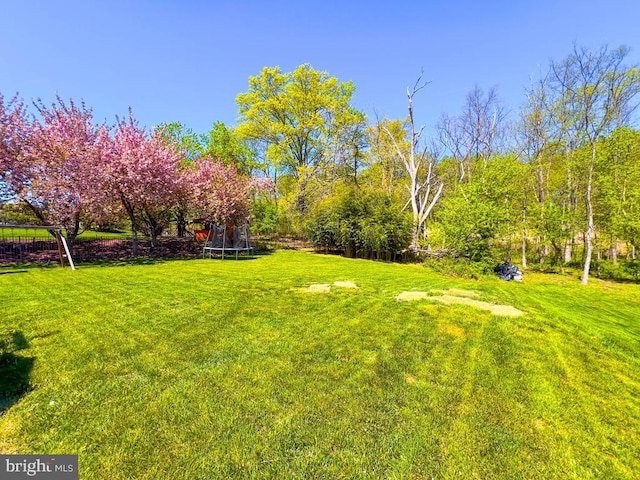 view of yard with a trampoline