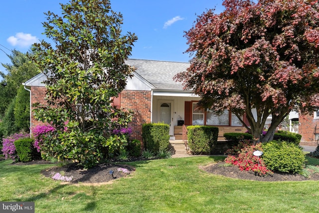 obstructed view of property with a front yard and brick siding