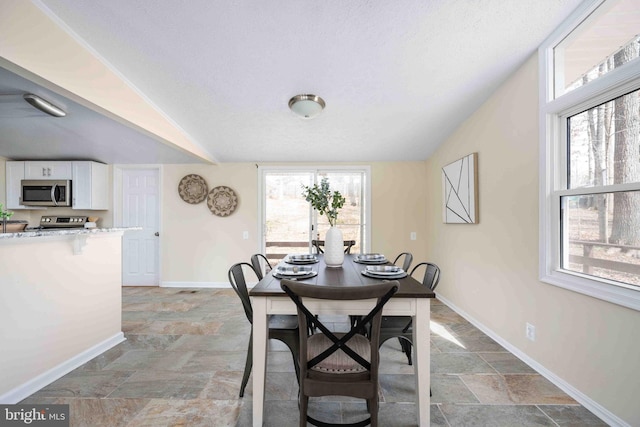 dining room with baseboards and stone finish floor