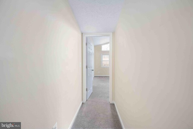 hallway featuring vaulted ceiling, baseboards, carpet flooring, and a textured ceiling