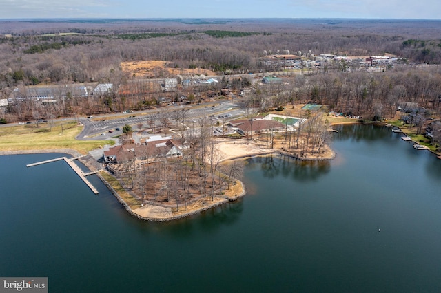 bird's eye view featuring a water view and a forest view