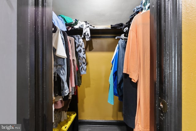 view of walk in closet