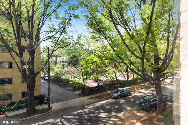 view of street with sidewalks and curbs