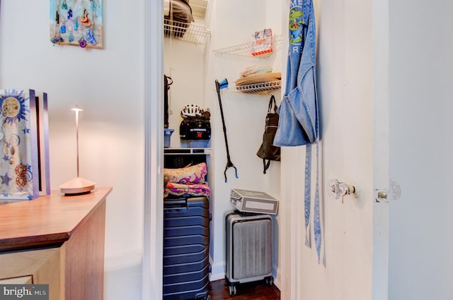 view of closet