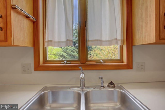 interior details with light countertops and a sink