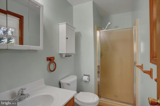 bathroom with vanity, toilet, and a shower stall