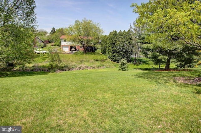 view of yard