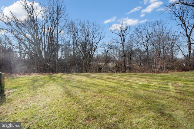 view of yard